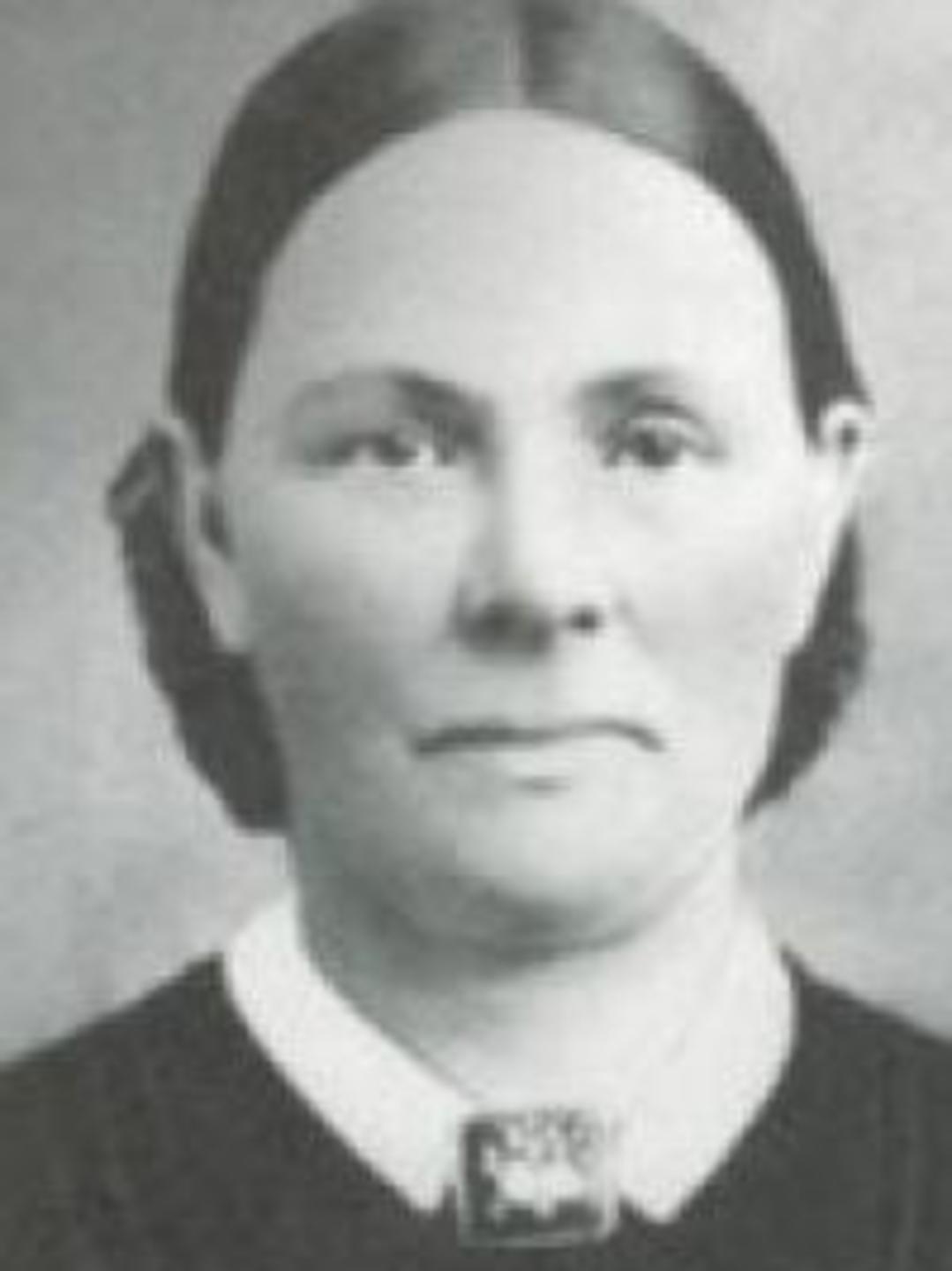 Emeline Young Grover (1831 - 1917) Profile